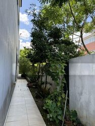 Springleaf Garden (D26), Semi-Detached #625458461